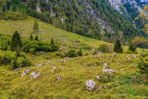 Pedras de pedregulho em Koenigssee Konigsee Berchtesgaden National Park Baviera Alemanha