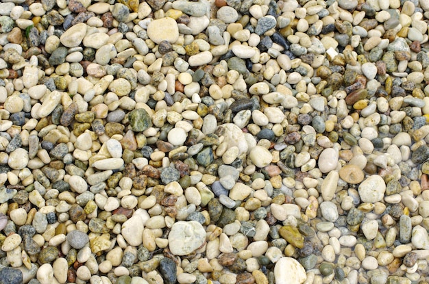 Pedras de seixo