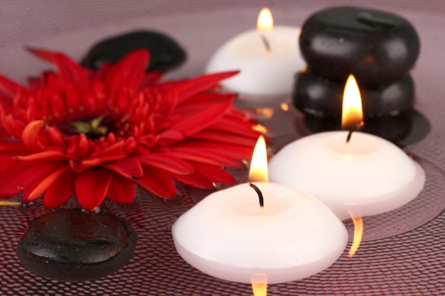 Pedras de spa com flores e velas na água no prato