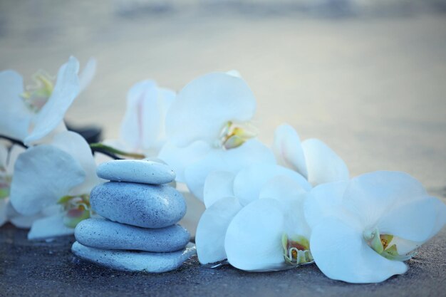 Pedras de spa com flores na praia do mar ao ar livre