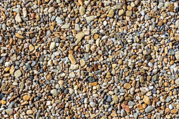 Foto pedras do mar úmidas de cores diferentes como pano de fundo natural um padrão de pequenas pedras lisas