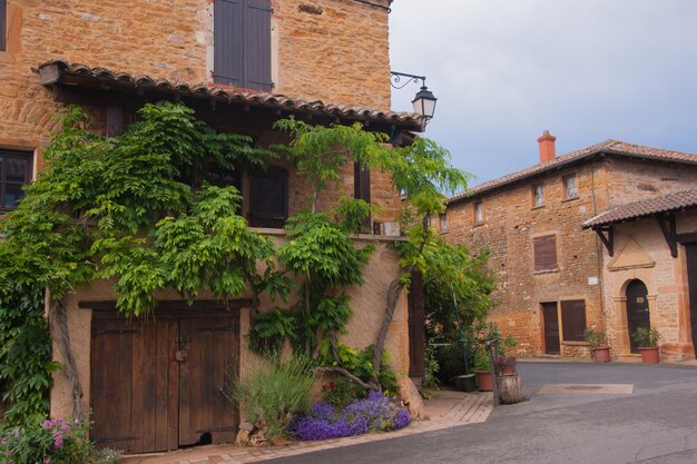 Pedras douradas Beaujolais