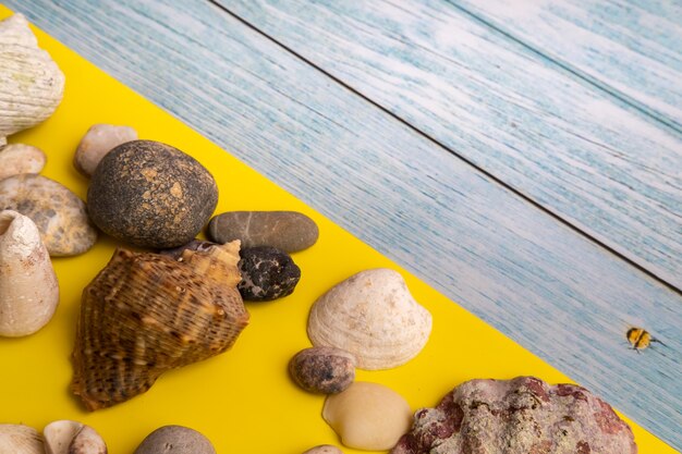 Pedras e conchas em um fundo azul de madeira e um fundo amarelo. Tema marinho.