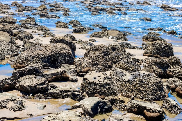 Pedras espalhadas em uma praia com água azul vista de perto