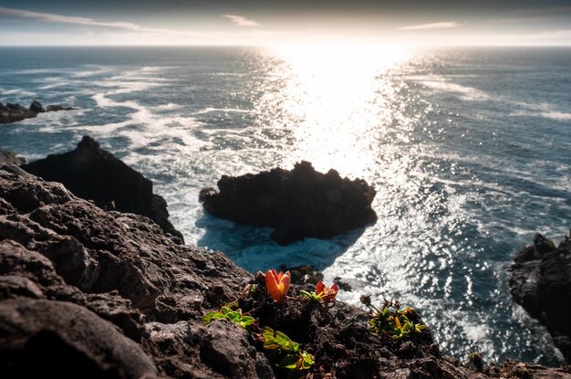 Pedras na costa contra o céu