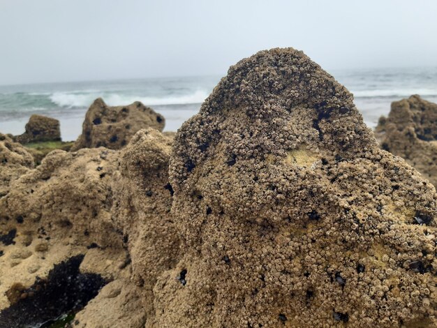 Foto pedras na praia contra o céu