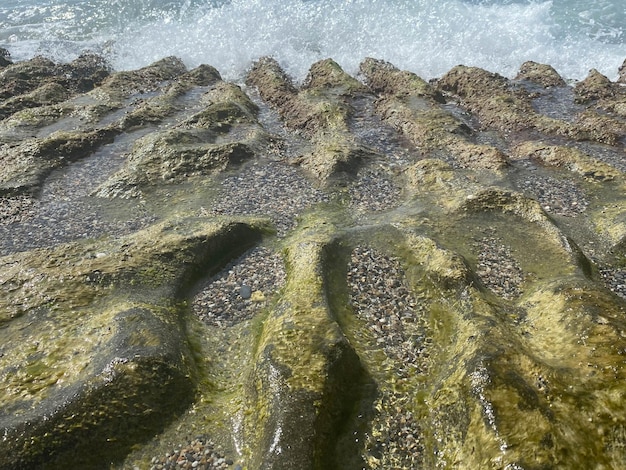 Pedras naturais molhadas cobertas de musgo e água do mar e vegetação as pedras são verdes