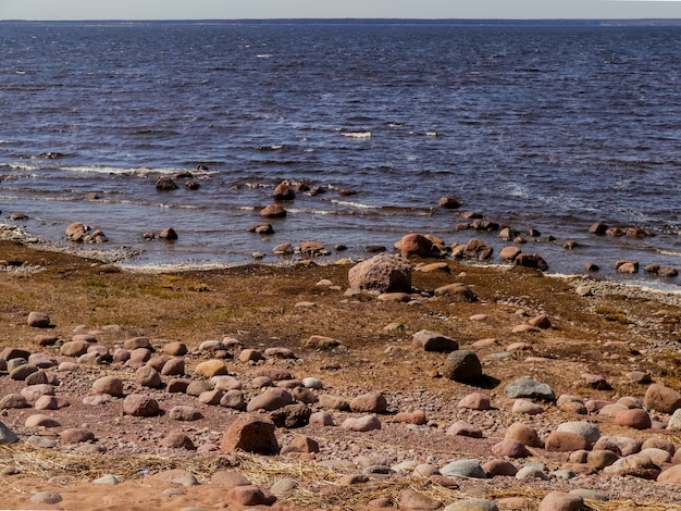 Pedras redondas nas margens do Golfo da Finlândia.