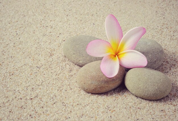 Pedras zen e flor Frangipani ou plumeria com fundo de areia