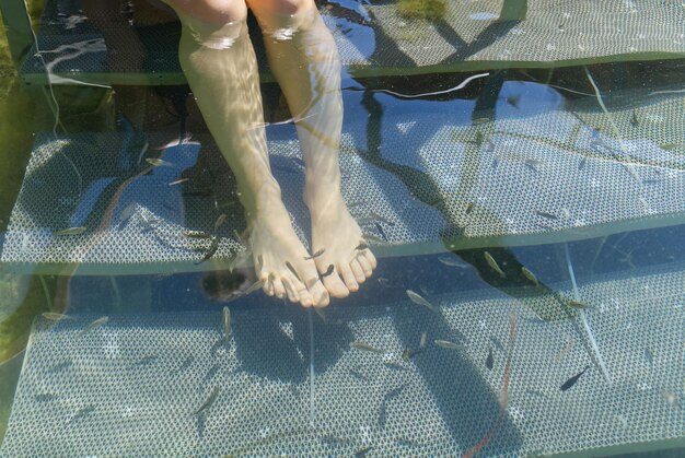 Peeling pies pescado cuidado cosmético de los pies con la ayuda de peces haciendo exfoliación de pies lago termal Vouliagmeni Atenas Attica