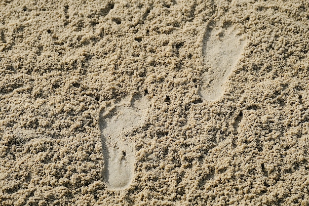 pegada na praia de areia