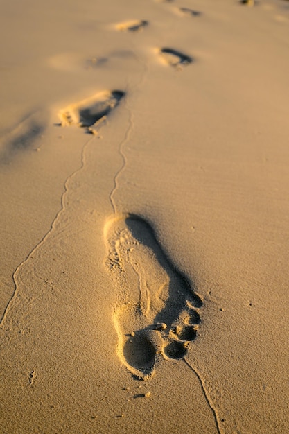 Foto pegadas caminham na praia de areia ao pôr do sol