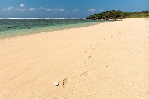 Pegadas de uma pessoa na areia de uma praia paradisíaca. Ilha de Iriomote.