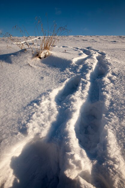 Pegadas em montes de neve após caminhada, congelamento e queda de neve no inverno