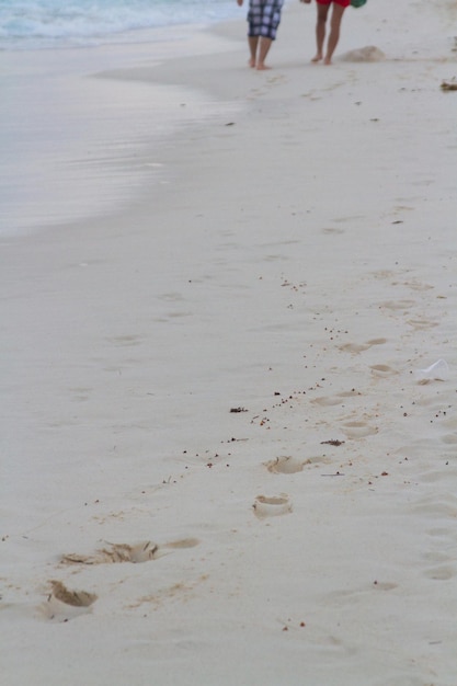 Pegadas frescas na praia.