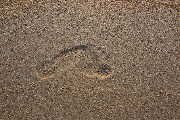 Foto pegadas na areia junto ao mar