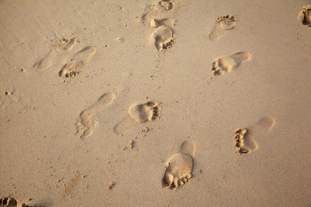 Pegadas na areia na praia