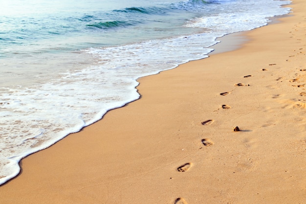 Foto pegadas na bela praia de areia