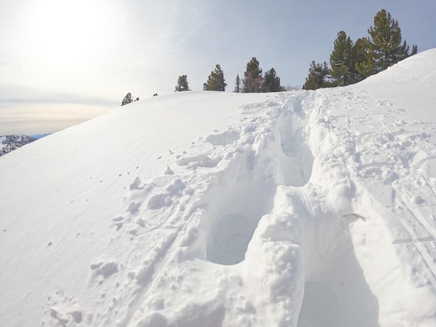 Foto pegadas na neve profunda subindo trilha do sertão caminhada de inverno