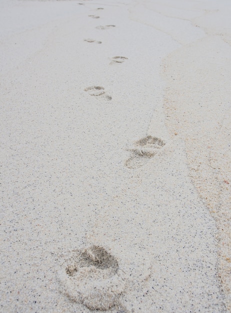 Pegadas na praia arenosa