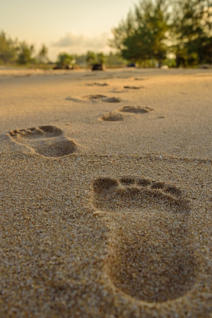 Pegadas na praia