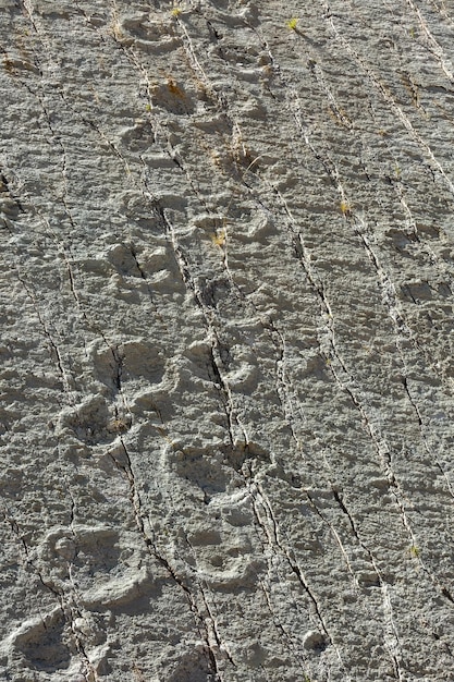 Pegadas petrificadas de dinossauros. Cal Orko é um monumento paleontológico natural na Bolívia. Sucre