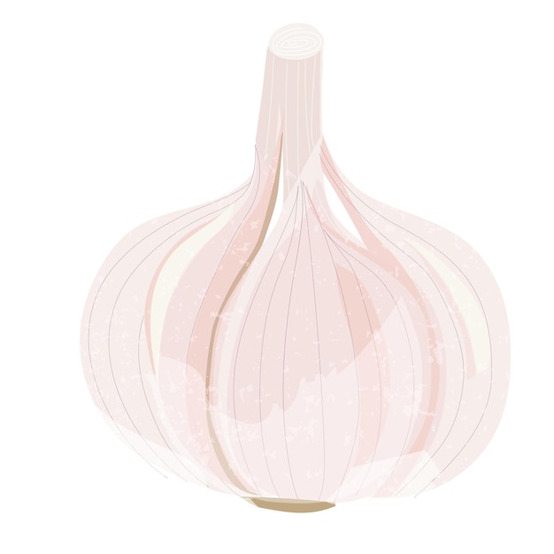 Pegatina de cebolla png de verduras de fondo transparente