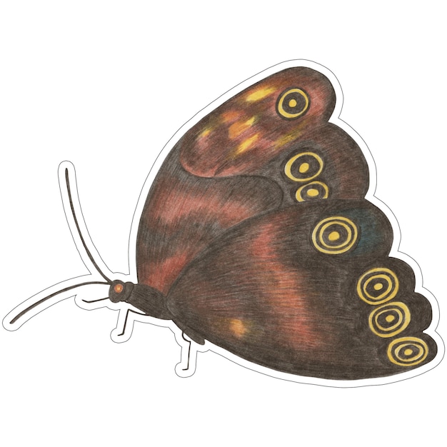 Pegatina de mariposa colorida dibujada a mano aislada sobre fondo blanco Ilustración de mariposa dibujada con lápiz de color Pegatina de polilla dibujada a mano