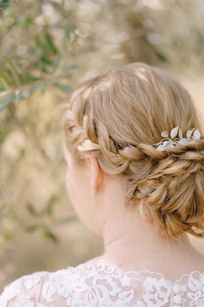 Peinado de novia con trenzas trenzadas vista posterior