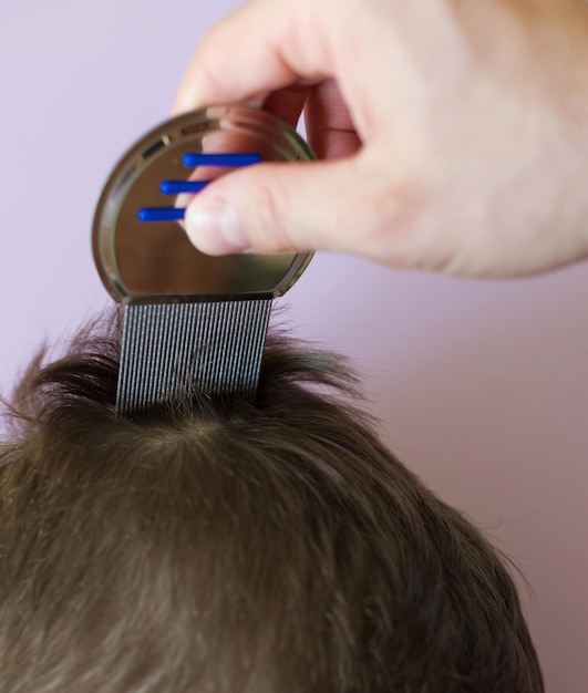 Peine para piojos y copyspace de cabello castaño