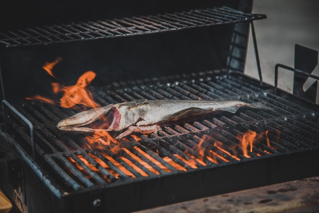 Peixe à grelha