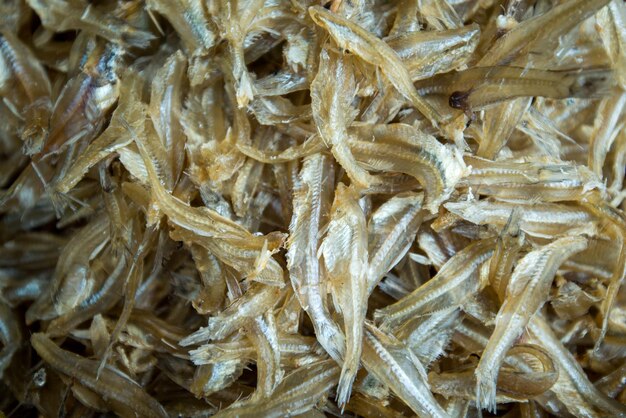 Peixe anchova seco