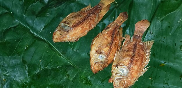 Peixe assado suculento com toque frutado