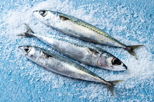 Peixe cavala cru com sal ao redor isolado no fundo branco