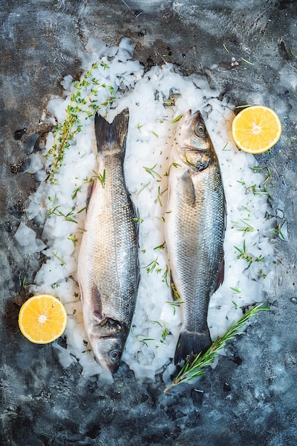 Foto peixe com gelo para cozinhar em um restaurante. peixe fresco cru robalo com fatias de limão em um fundo cinza, vista superior