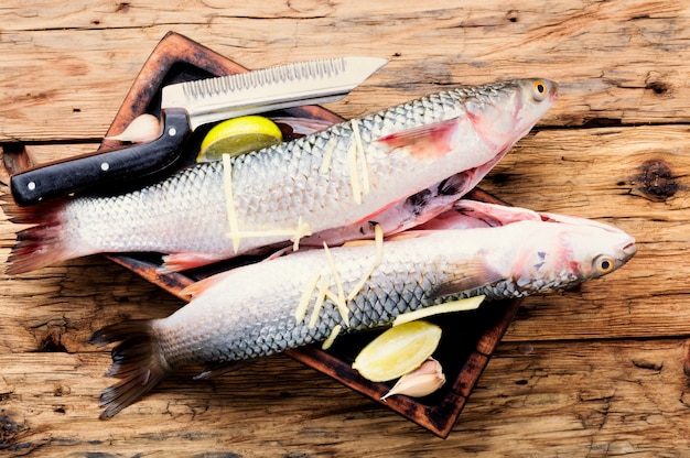 Peixe cru com especiarias