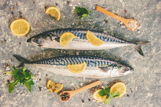 Peixe cru de cavala. Foco seletivo. Comida e bebida.