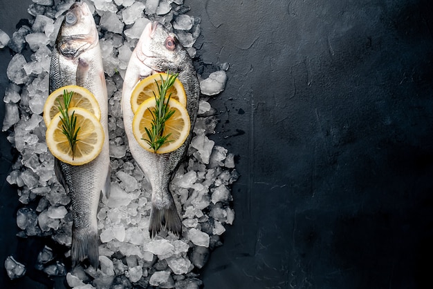 peixe cru fresco robalo e dorado com limão e alecrim no gelo, sobre um fundo de pedra