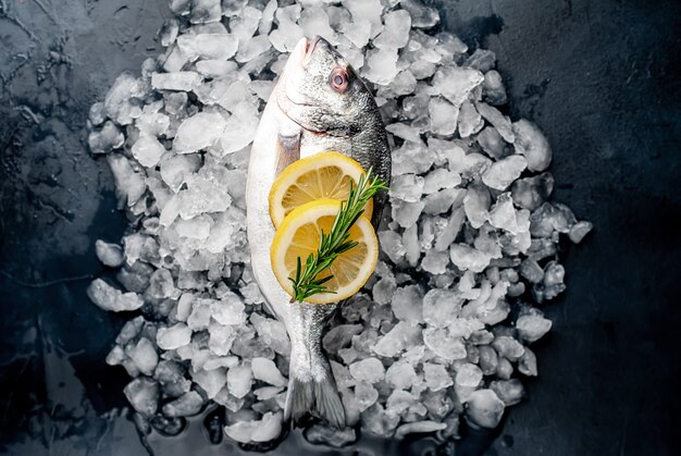 peixe cru fresco robalo e dorado com limão e alecrim no gelo, sobre um fundo de pedra