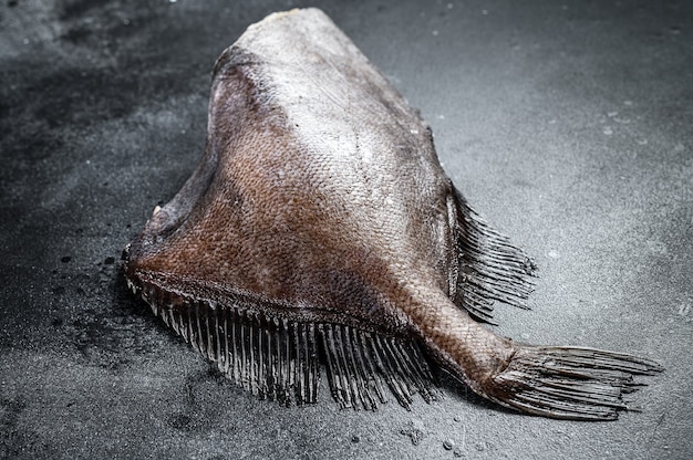 Foto peixe cru john dory em uma mesa