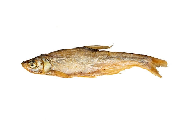 Peixe de cheiro seco - cheiro europeu (Osmerus eperlanus) - alimentos para animais de estimação