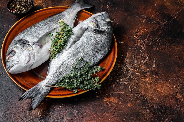 Peixe de pargo cru e ingredientes para cozinhar. Fundo escuro. Vista do topo. Copie o espaço.