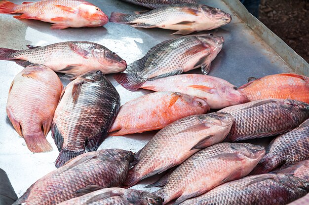 Peixe de tilápia fresca, peixe tradicional do mercado da ásia