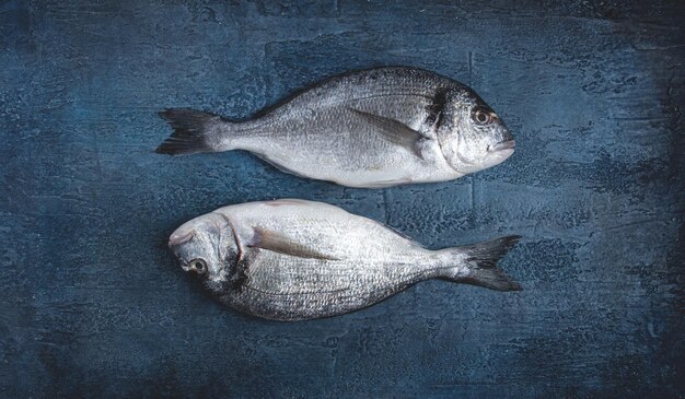 peixe dorado cru em um fundo azul escuro vista superior duas peças sem pessoas