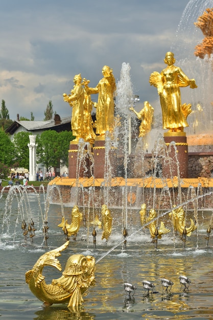 Peixe dourado na fonte da amizade dos povos do parque