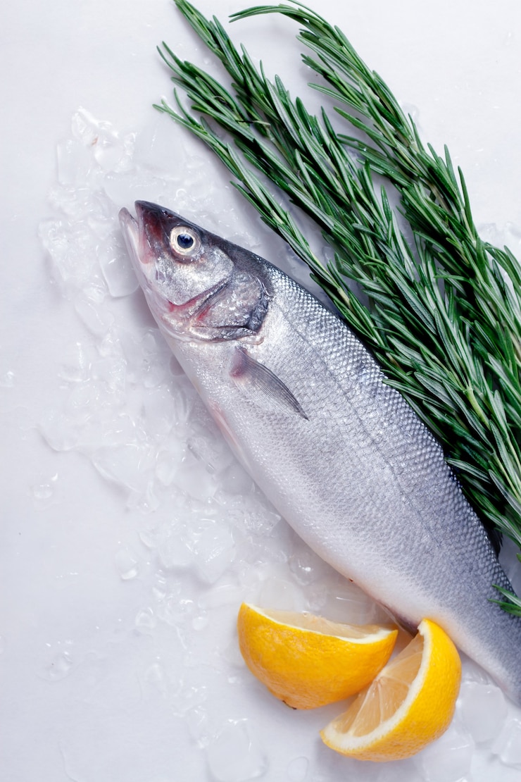 Foto peixe fresco a bordo, robalo
