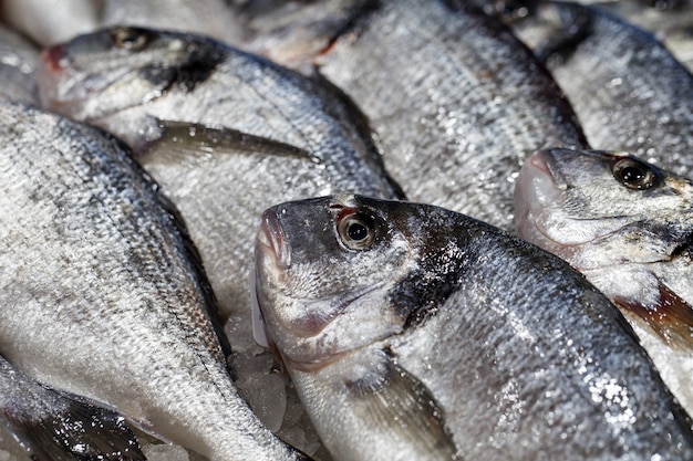 Peixe fresco cru em close-up a granel no gelo no mercado de peixes