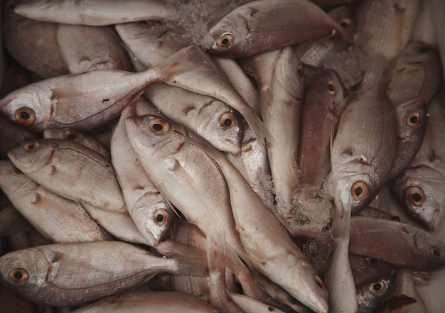 Peixe fresco cru no mercado, fundo de alimentos