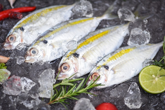 Peixe fresco cru tarja amarela com limão, cavala no gelo