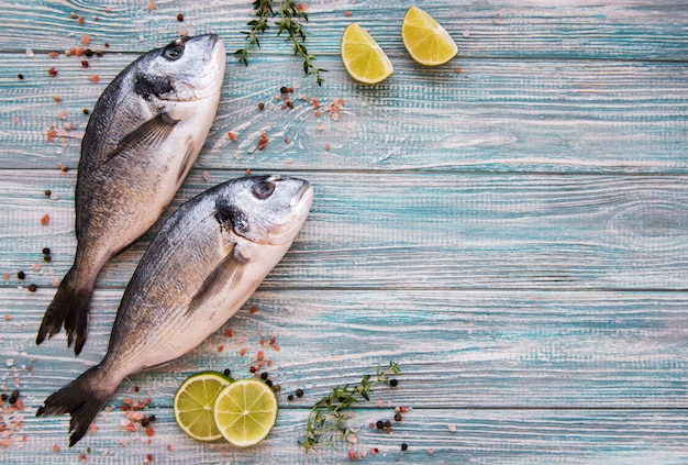 Peixe fresco de sargo Gilthead